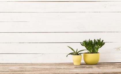 declutter code simplify