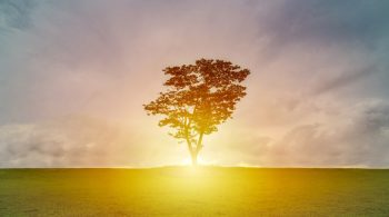 Discover your life's purpose