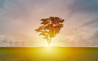 Discover your life's purpose