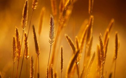 how to declutter your mind