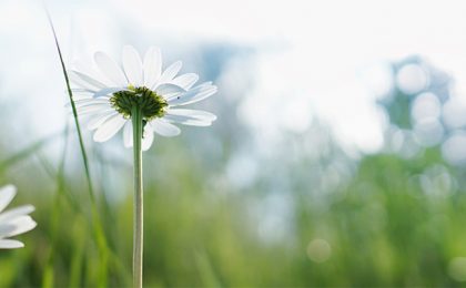 how to love yourself