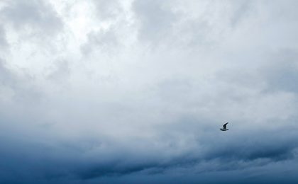 the throes of autopilot