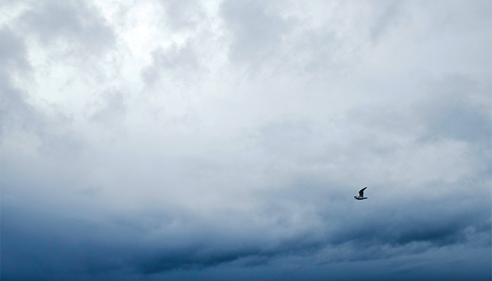 The Throes Of Autopilot