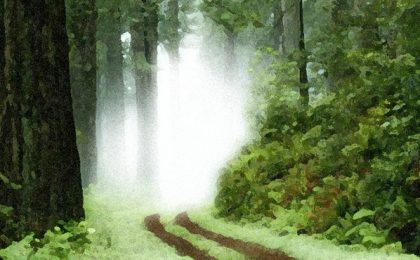 turn dreams into reality