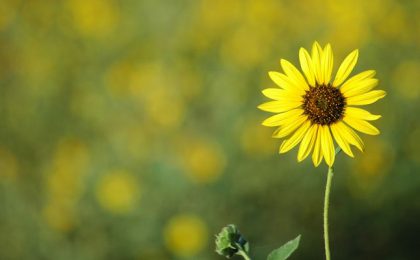 why complicate things